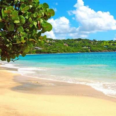 196体育(官方)APP下载安装