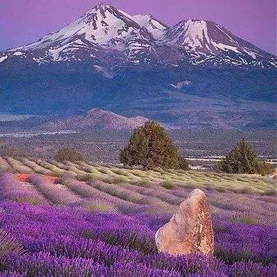 pg电子娱乐官网游戏手机app下载截图